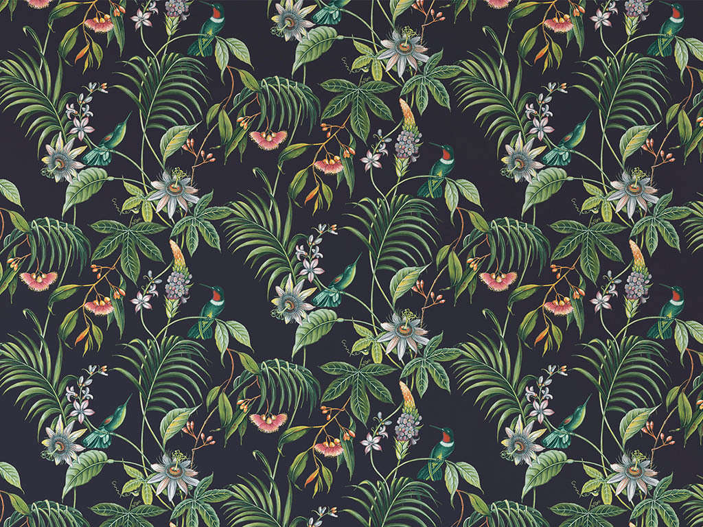 Colourplus - NZ Home Decor Specialists in Paint, Wallpaper, Blinds and