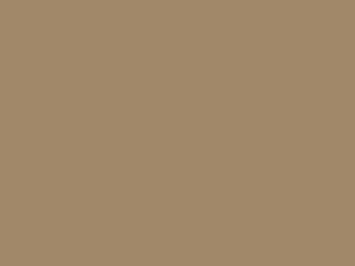 Coffee Cream Paint Colour Plus Nz Double Tumbleweed